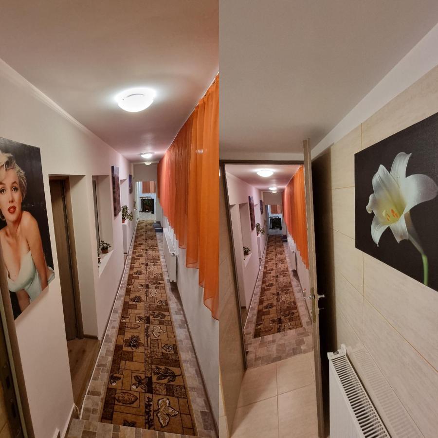 布拉索夫Roca House别墅 外观 照片