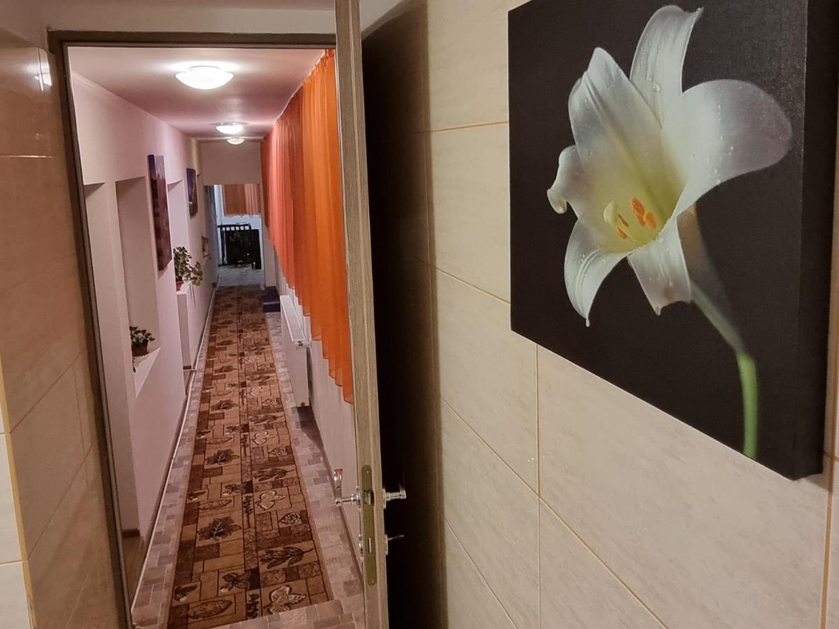 布拉索夫Roca House别墅 外观 照片
